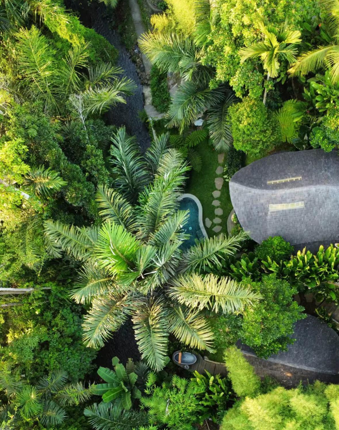 Wahem Eco Bamboo - Magical Bamboo House Ubud Bali Villa Exteriör bild